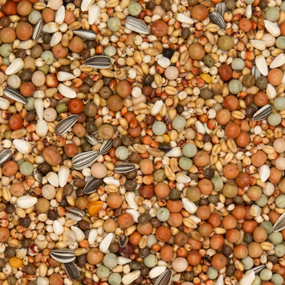 Olympia 48 - Young Bird No Maize (25kg)
