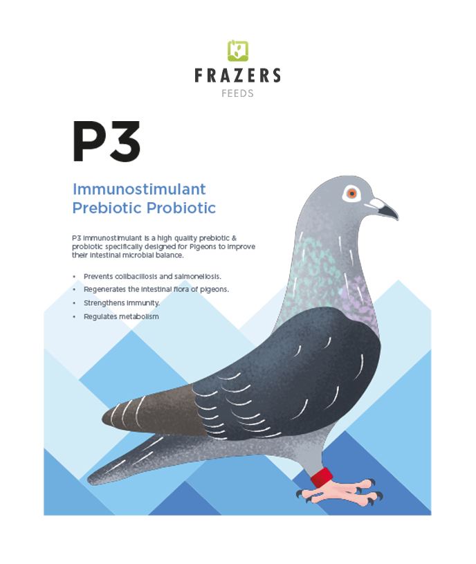 P3 Prebiotic Probiotic (300g)