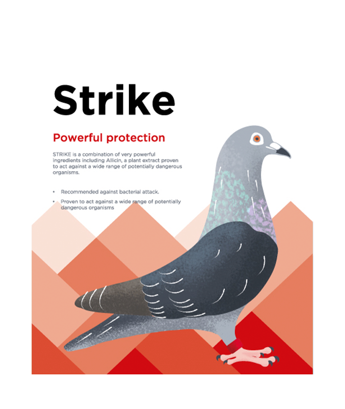 Strike (300g)