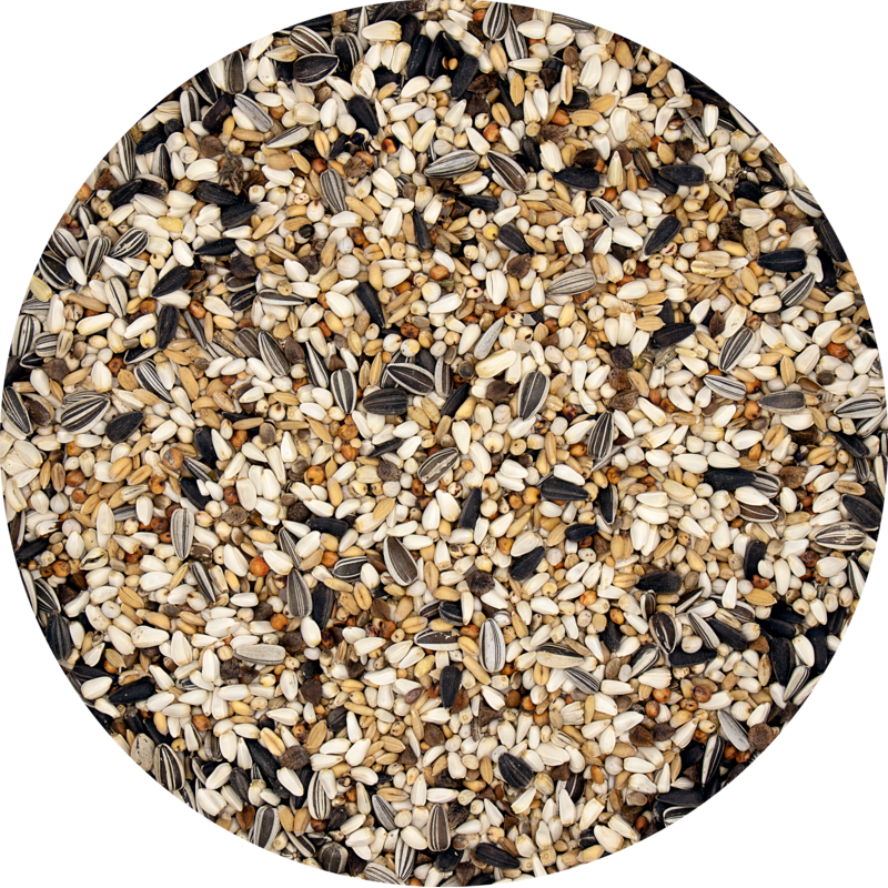 Super condition (20kg)