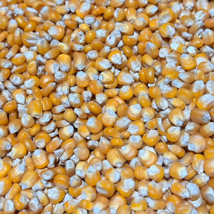 V/L Cribbs Maize (25kg)