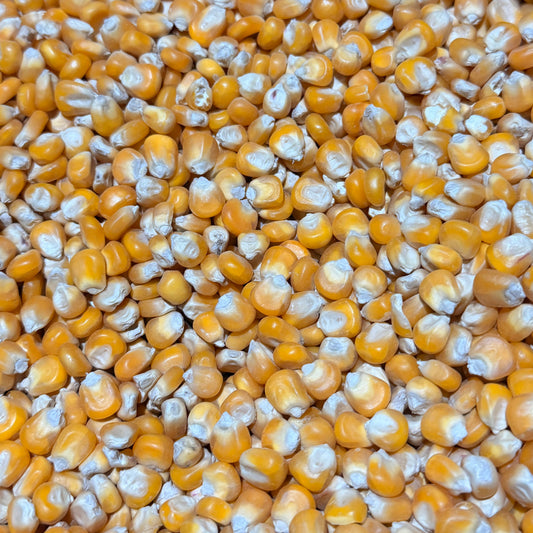 V/L Cribbs Maize (25kg)
