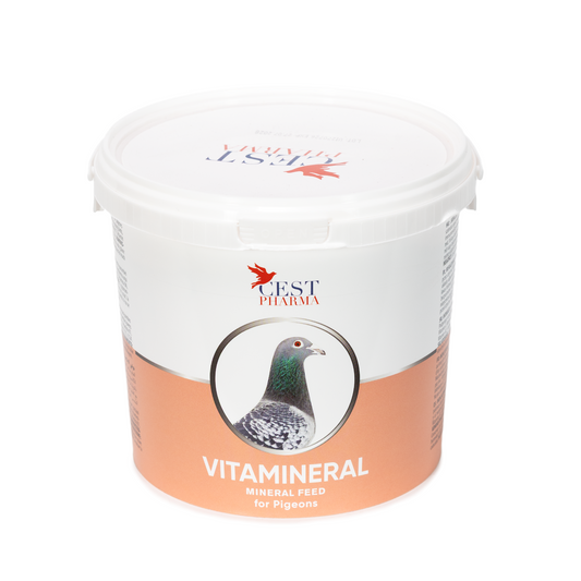 Cest Vitamineral (2.5kg)