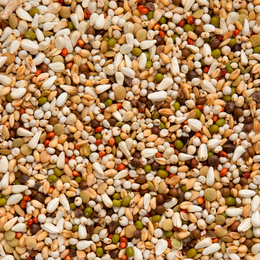 Walzoontjens Yellow Premium (20kg)