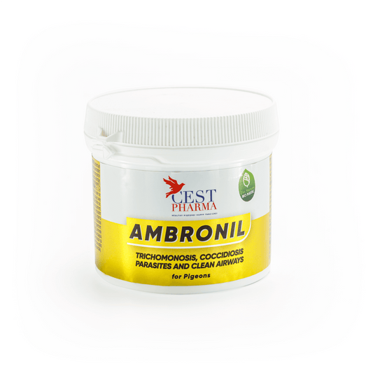 Ambronil 100gm