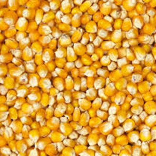 French Yellow Maize (4kg)