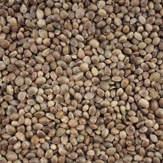 Hemp (25kg)