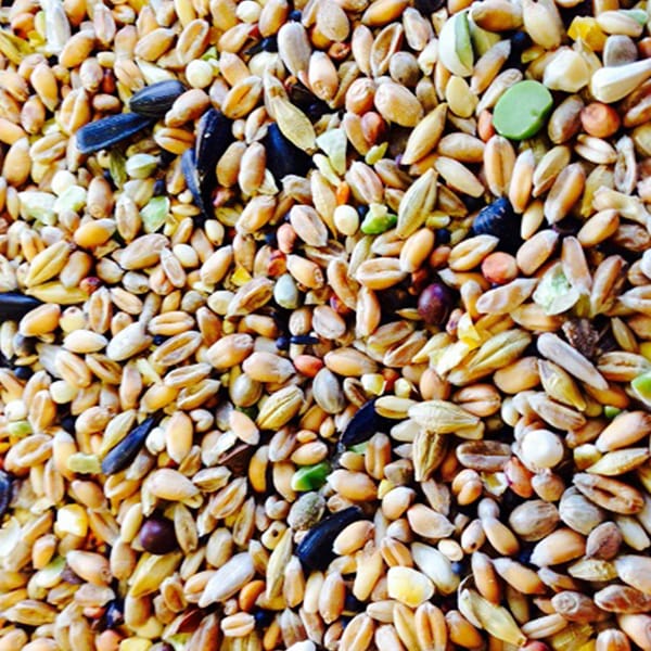 BJF Wild Bird Seed (25kg)