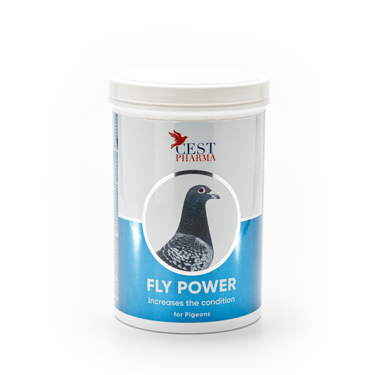 Fly Power 600g
