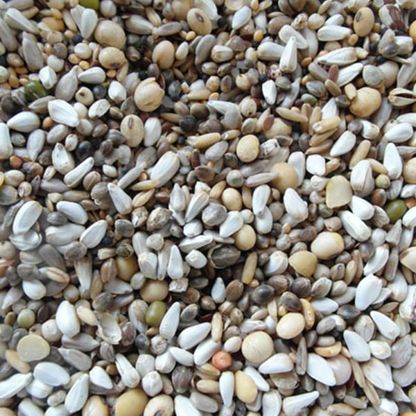 BJF High Energy Fat Mix (4kg)