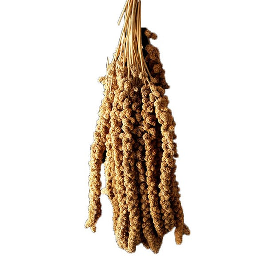 Chinese Millet (15kg)