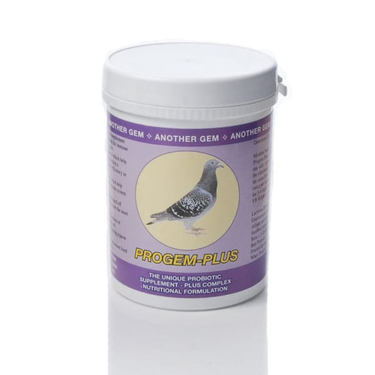 Progem Plus