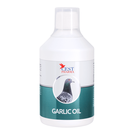 Garlic Oil 500ml