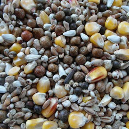 BJF Super Widowhood (20kg)