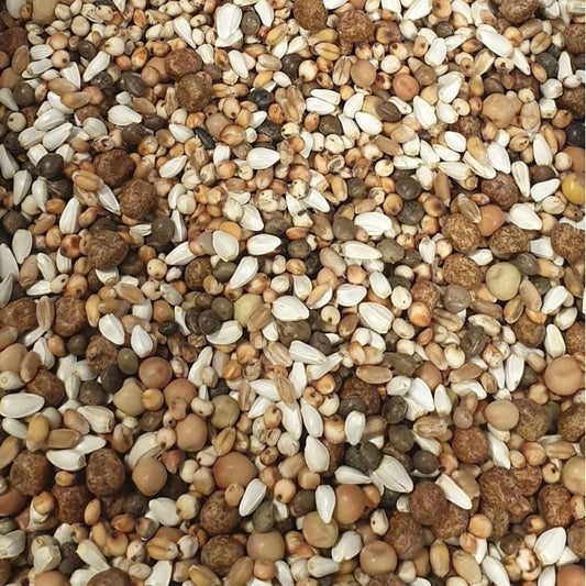 Breed & Wean (20kg)