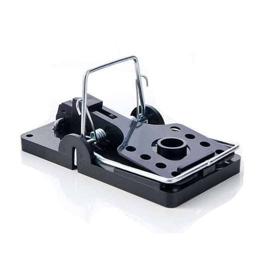 Trap Mouse Racan Snap (2 Pack)
