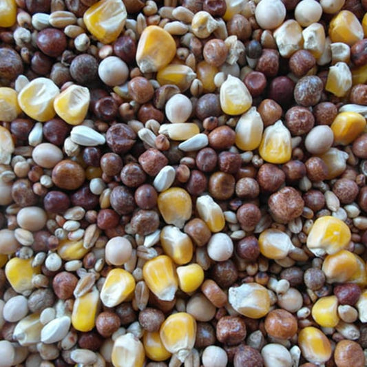 BJF Allrounder (25kg)