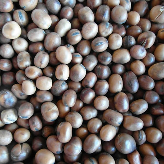 Beans (25kg)