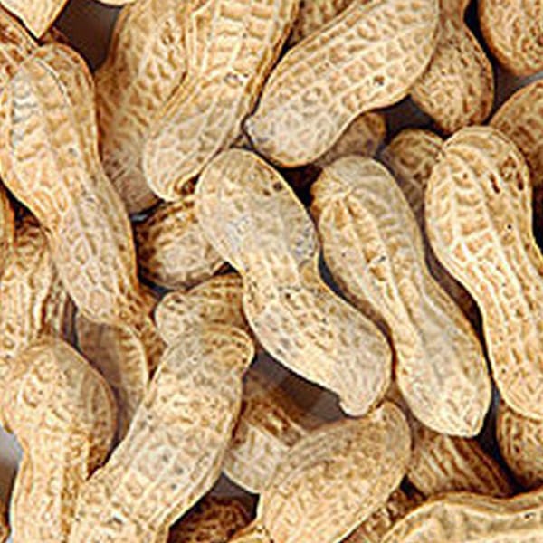 Peanuts in Shells (11.34kg)