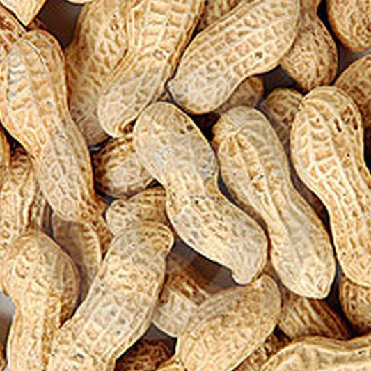 Peanuts in Shells (11.34kg)