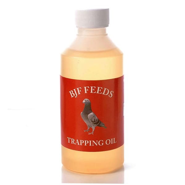 BJF Aniseed (250ml)
