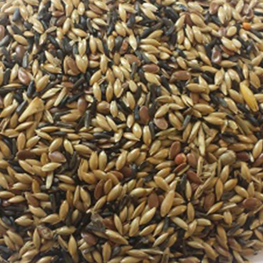 BJF Canary Breeding no Rape (20kg)