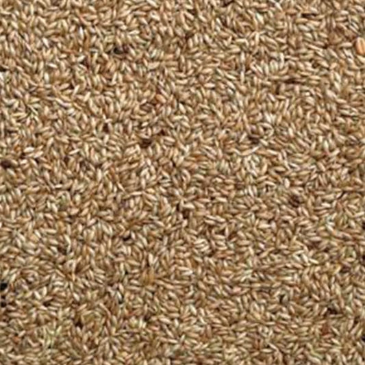 Plain Canary Seed (Unbranded) (25kg)
