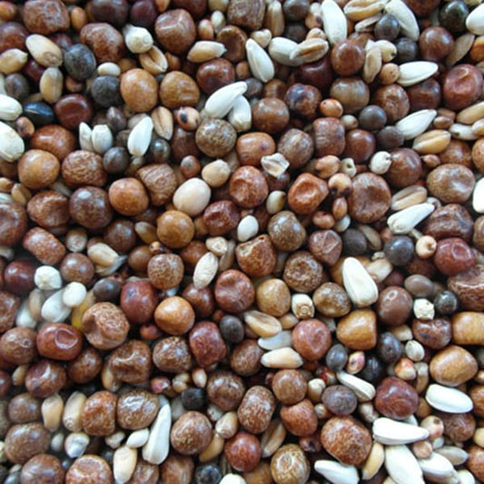 BJF Breed Wean (25kg)