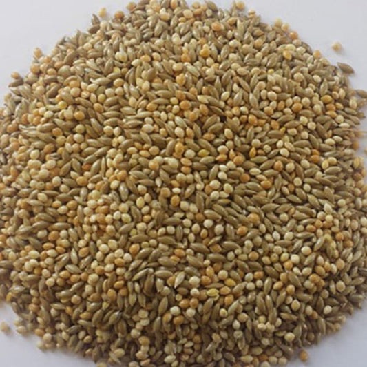 BJF Budgie 50/50 (20kg)