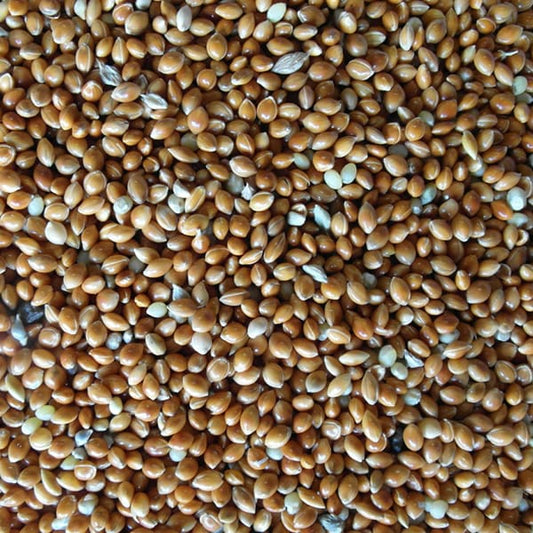 Red Millet (Unbranded) (25kg)