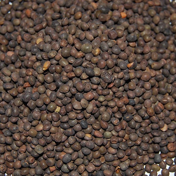 Tares (4kg)