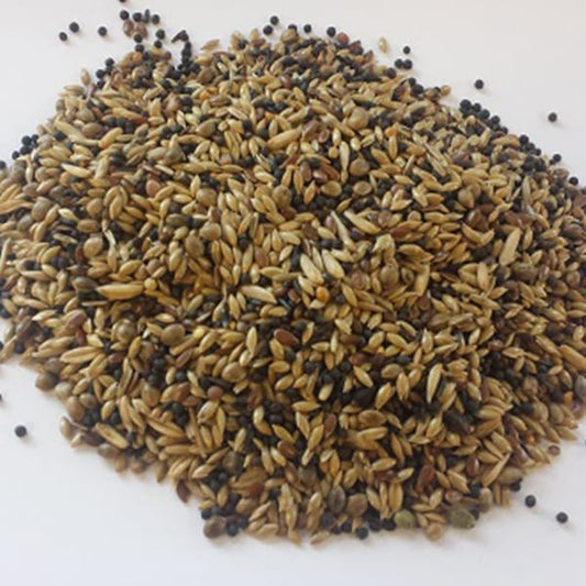 BJF European Finch (20kg)