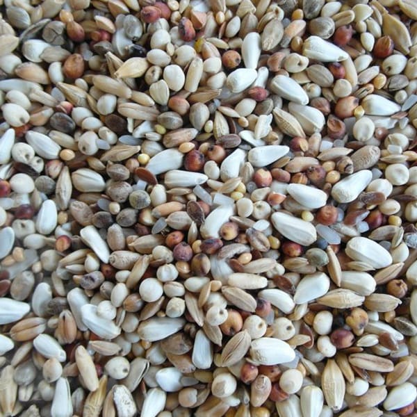 BJF Super Diet (20kg)