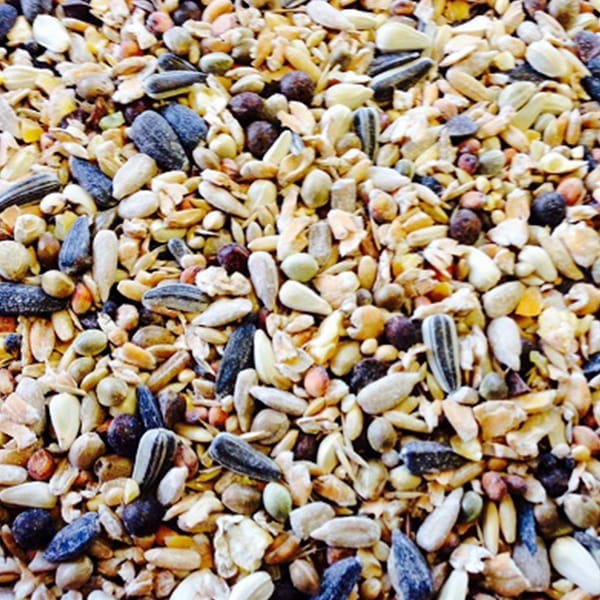 DeLuxe Wild Bird Food (25kg)