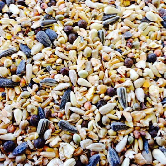 DeLuxe Wild Bird Food (25kg)